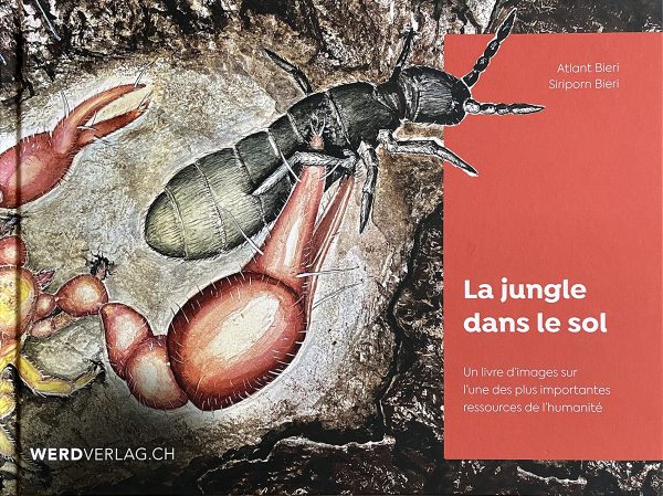 La jungle dans le sol