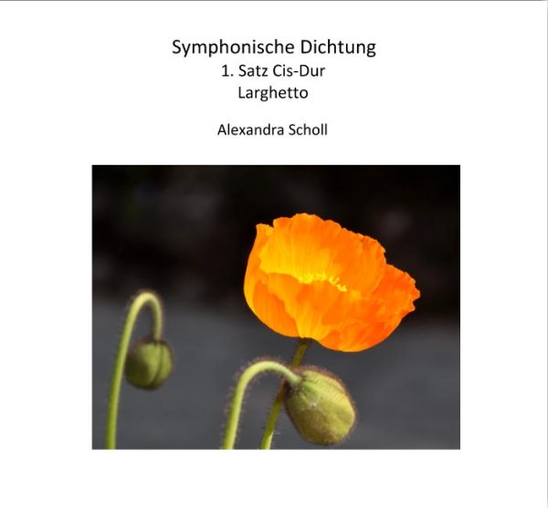 Symphonische Dichtung 1. Satz Cis-Dur Larghetto